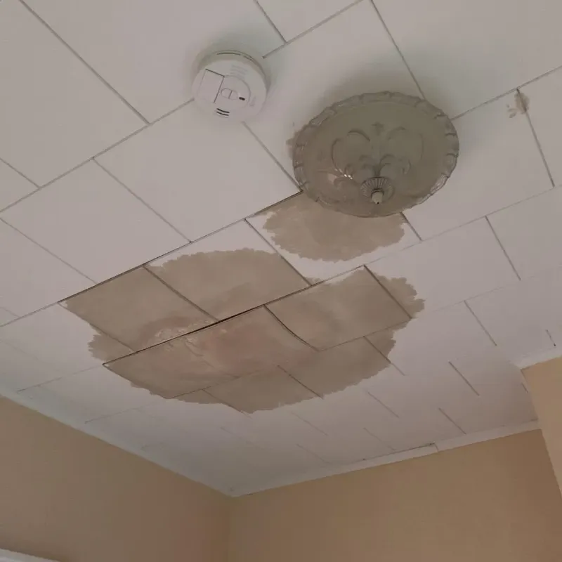 Ceiling Water Damage Repair in Welcome, NC