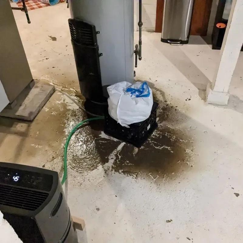 Sewage Backup Cleanup Service in Welcome, NC